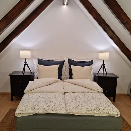 펜션 Cooles Lofthouse Mit Pool 키슈쿤머이셔