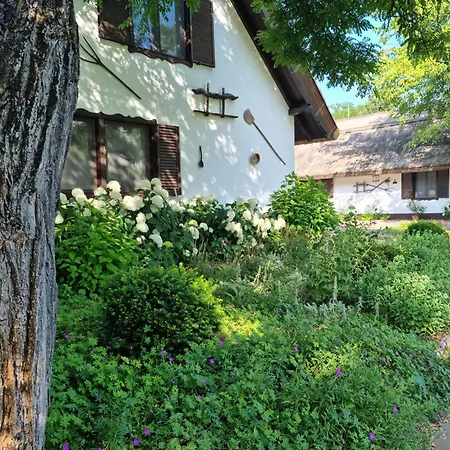 Cooles Lofthouse Mit Pool * 키슈쿤머이셔