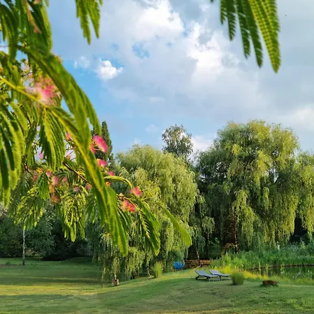 Cooles Lofthouse Mit Pool