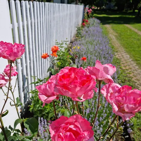 Cooles Lofthouse Mit Pool Hébergement de vacances Kiskunmajsa